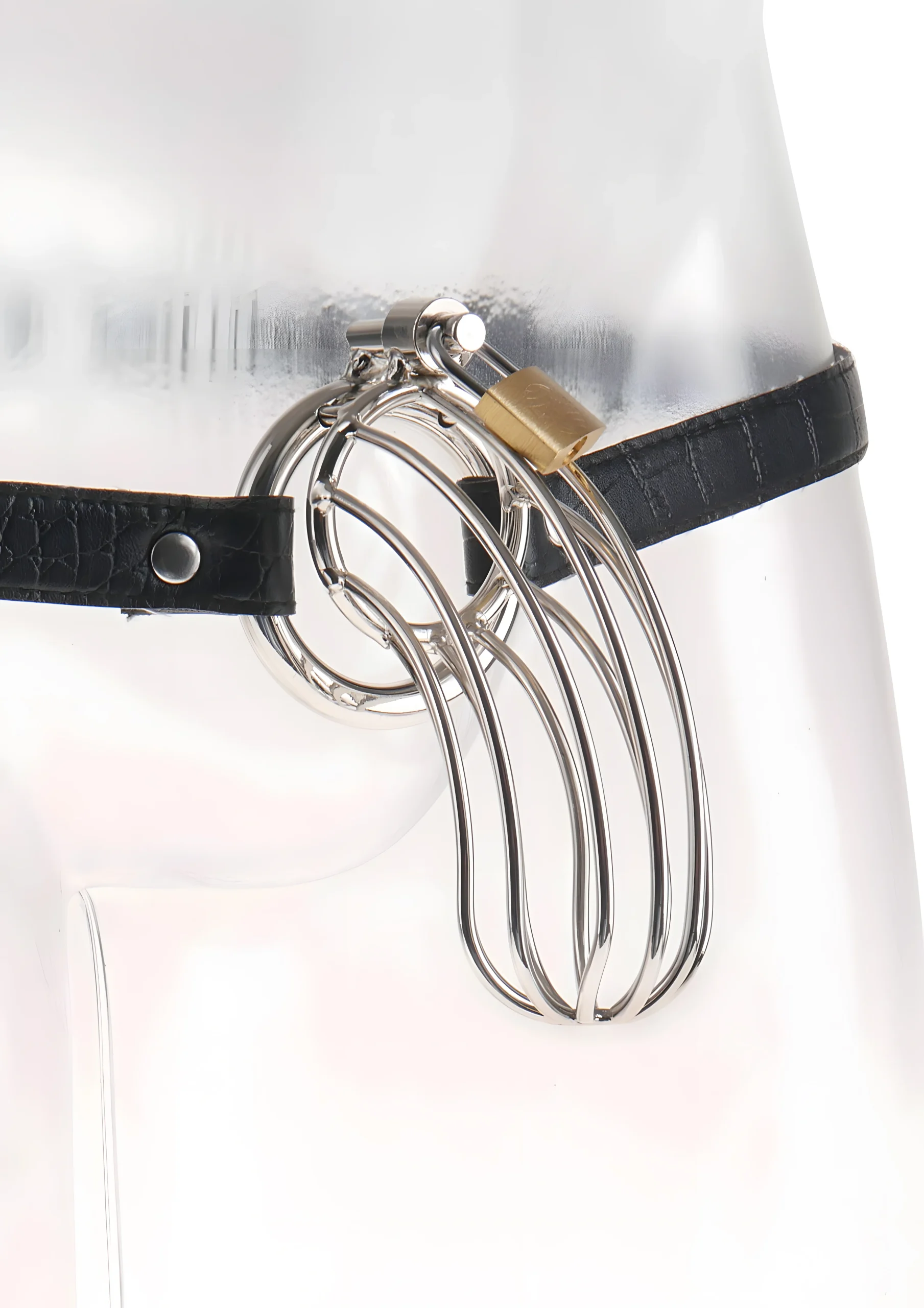 Prisoner Locking Metal Cage