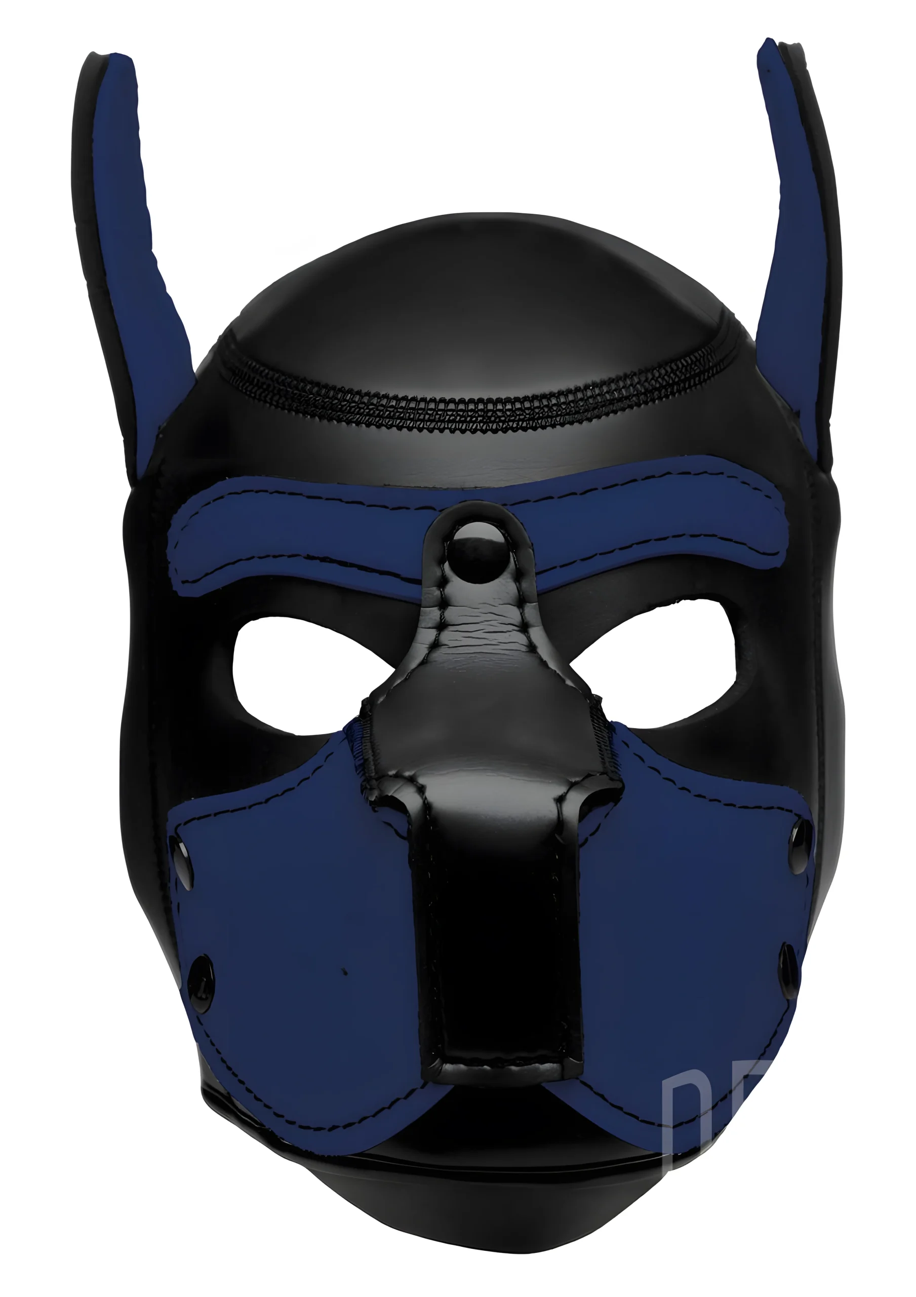 Spike Neoprene Puppy Hood Blue