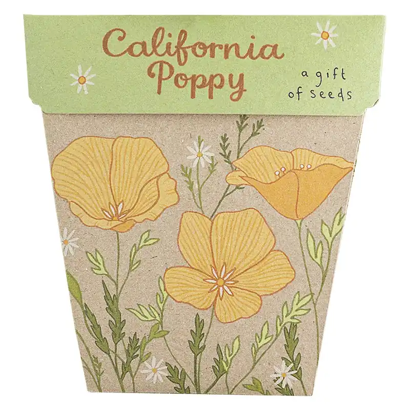 Limited Time Sow 'n Sow Gift of Seeds California Poppy 1 Pack