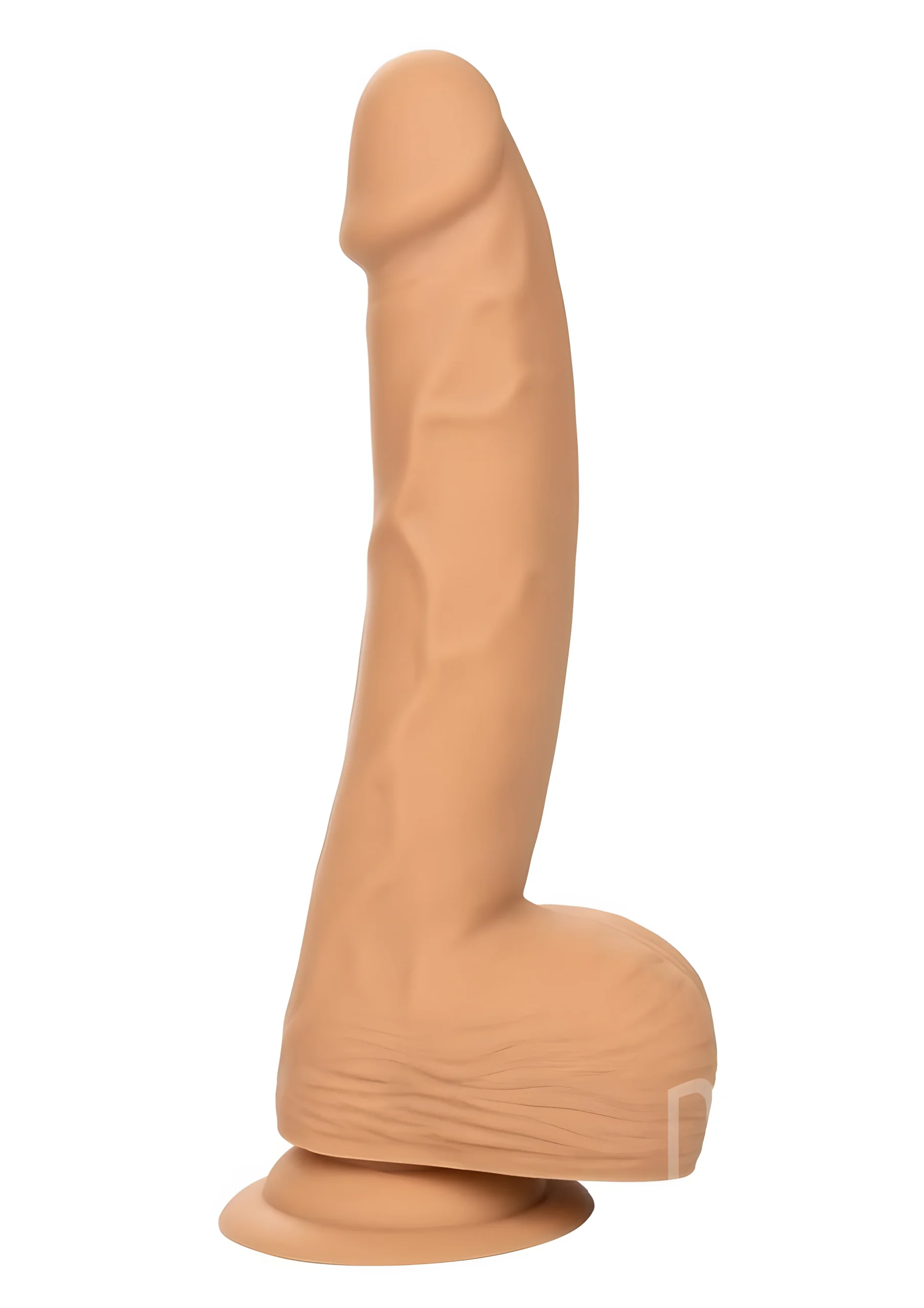 Silicone Studs 8 Inch Realistic Dong Ivory