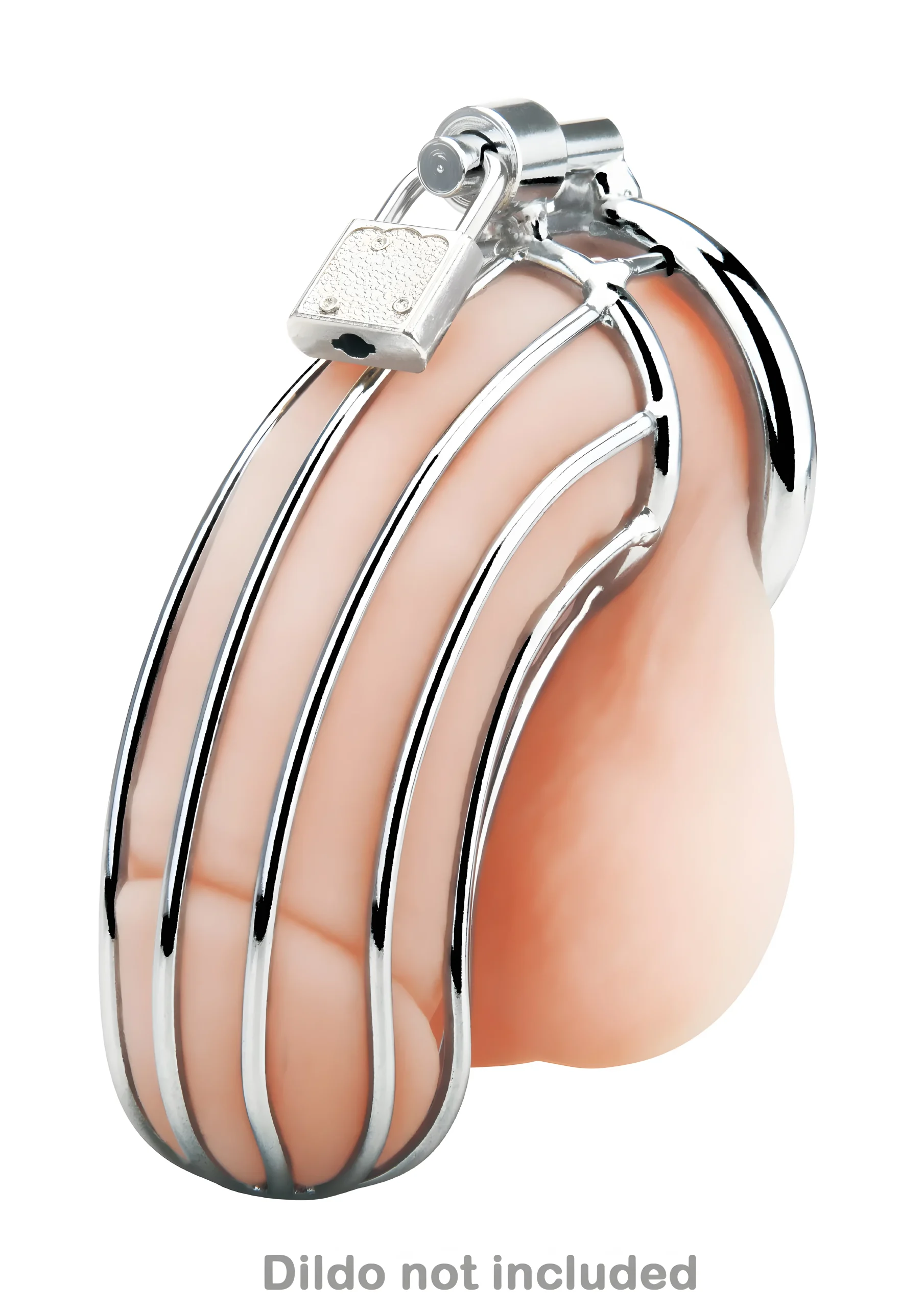 Stainless Steel Prisoner Cage