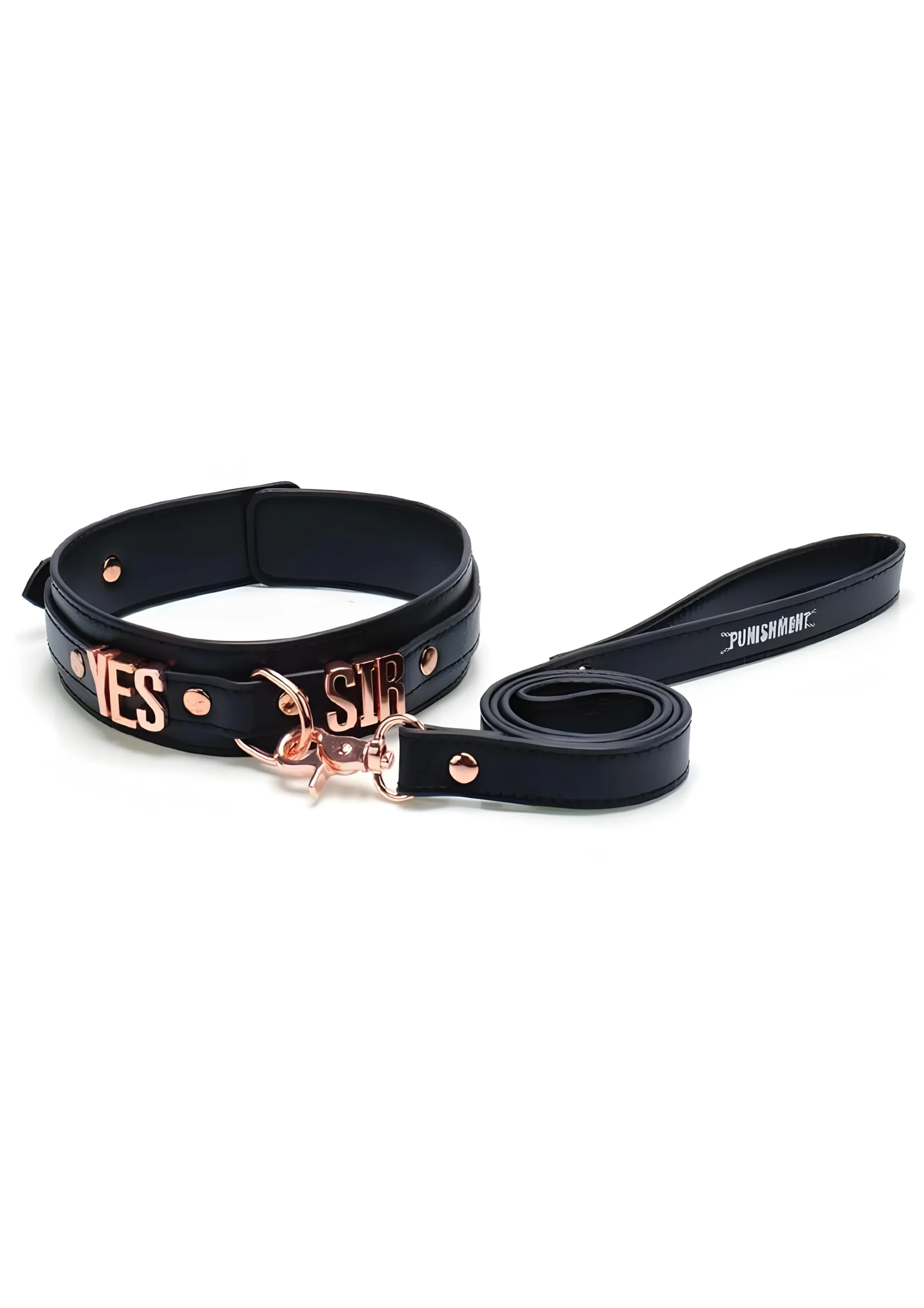 Yes Sir Collar & Leash