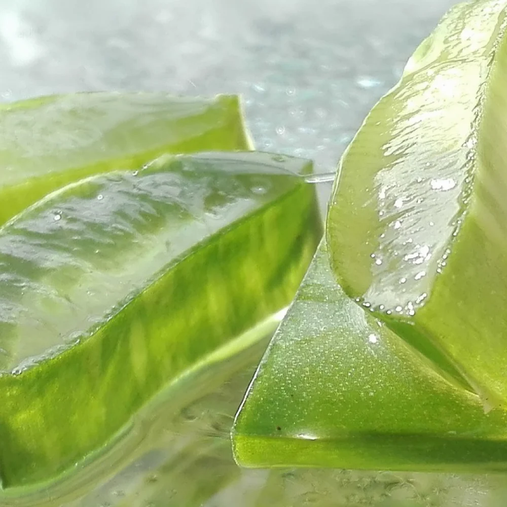 Aboca Aloe Vera Gel
