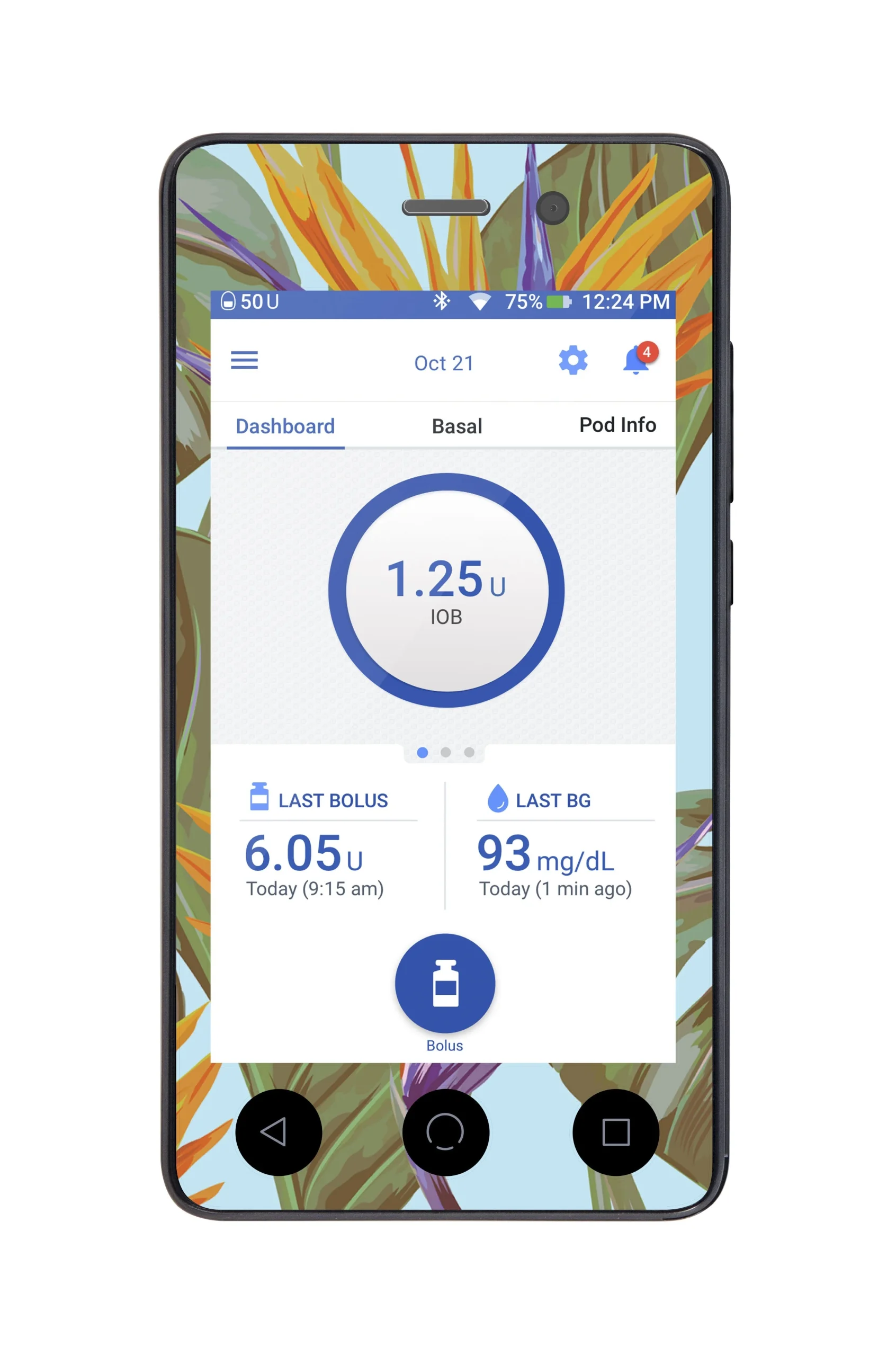 Birds of Paradise Sticker for Omnipod DASH PDM – Pump Peelz