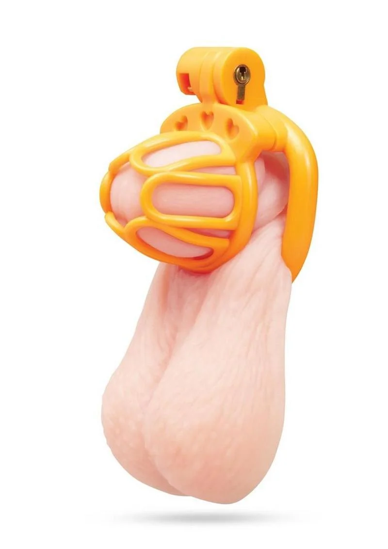 Blueline Fenced-In Inmate Mini Cock Chastity Cage