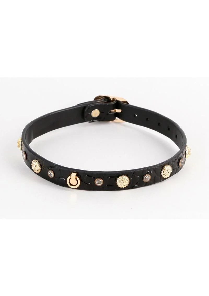 Fetish and Fashion Alina Collar