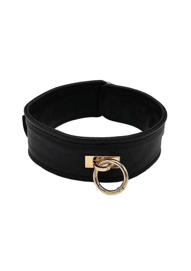 Leather Plain Collar with Gold Accessories