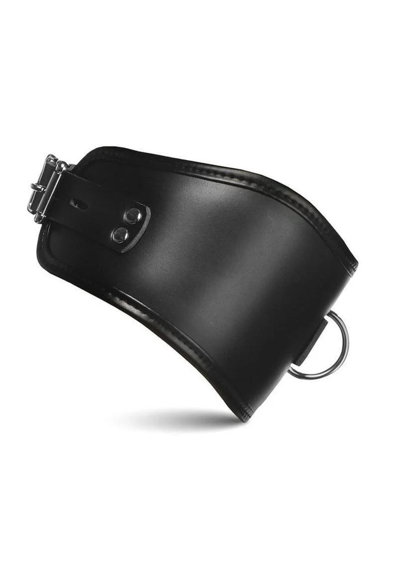 Master Series Hard Stance Padded Lock Posture Collar