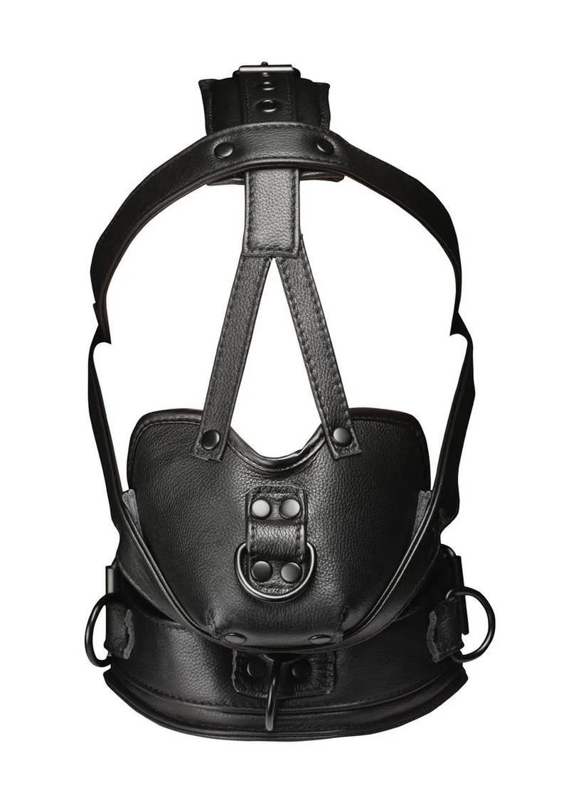 Master Series Leather Head Harness with Muzzle