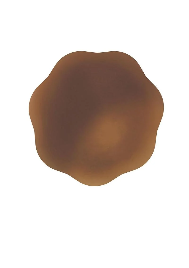 Self Adhesive Silicon Nipple Cover