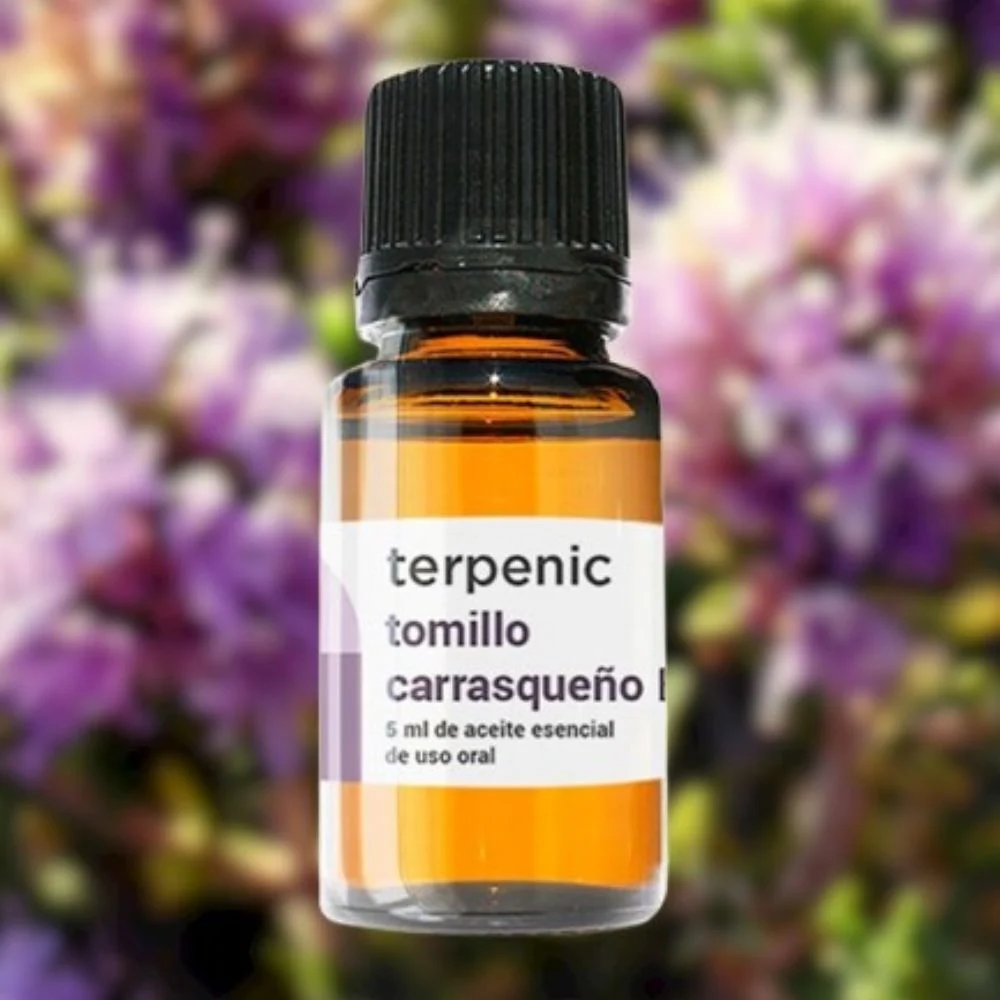 Terpenic BIO Carrasqueño Thyme Essential Oil - Purifying