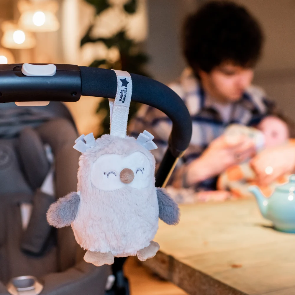 Tommee Tippee Mini Travel Sound Sleep Aid