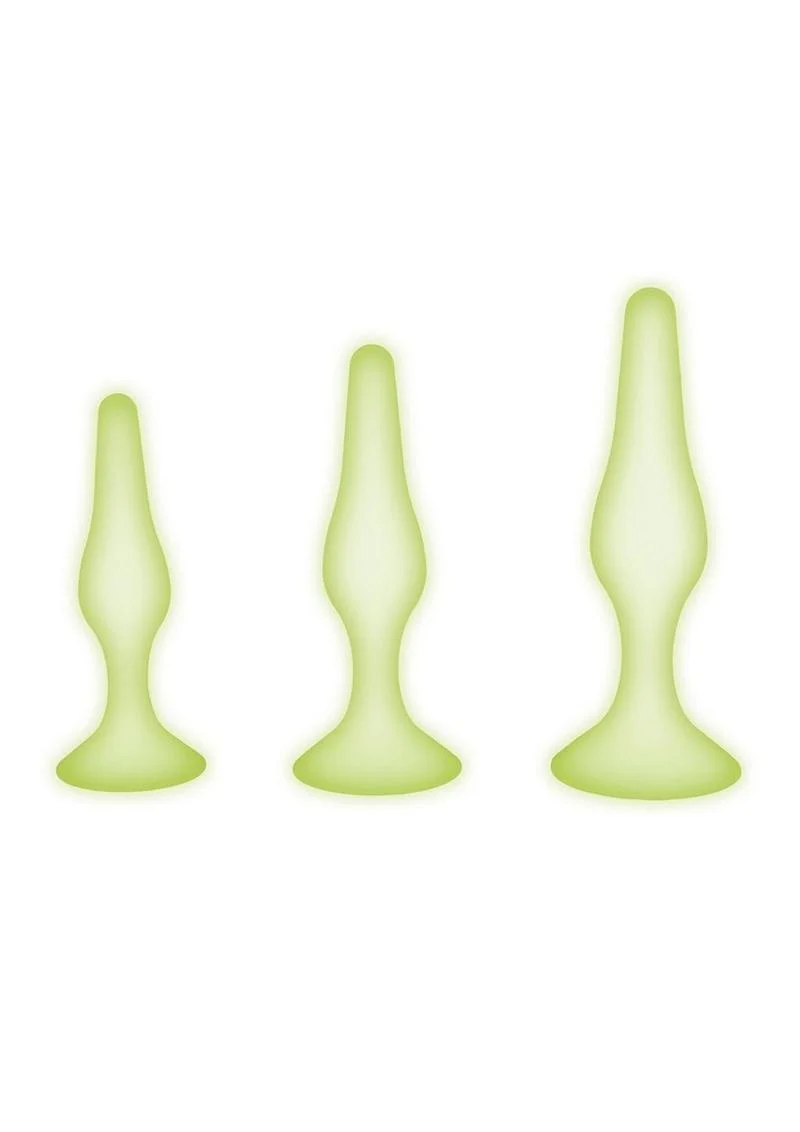 WhipSmart Glow In The Dark Silicone Anal Training Kit